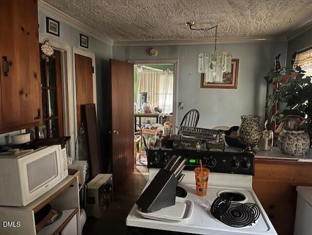 409 Edward Street Durham, NC 27701 - Photo 7 of 35 Kitchen Out to the Living Room