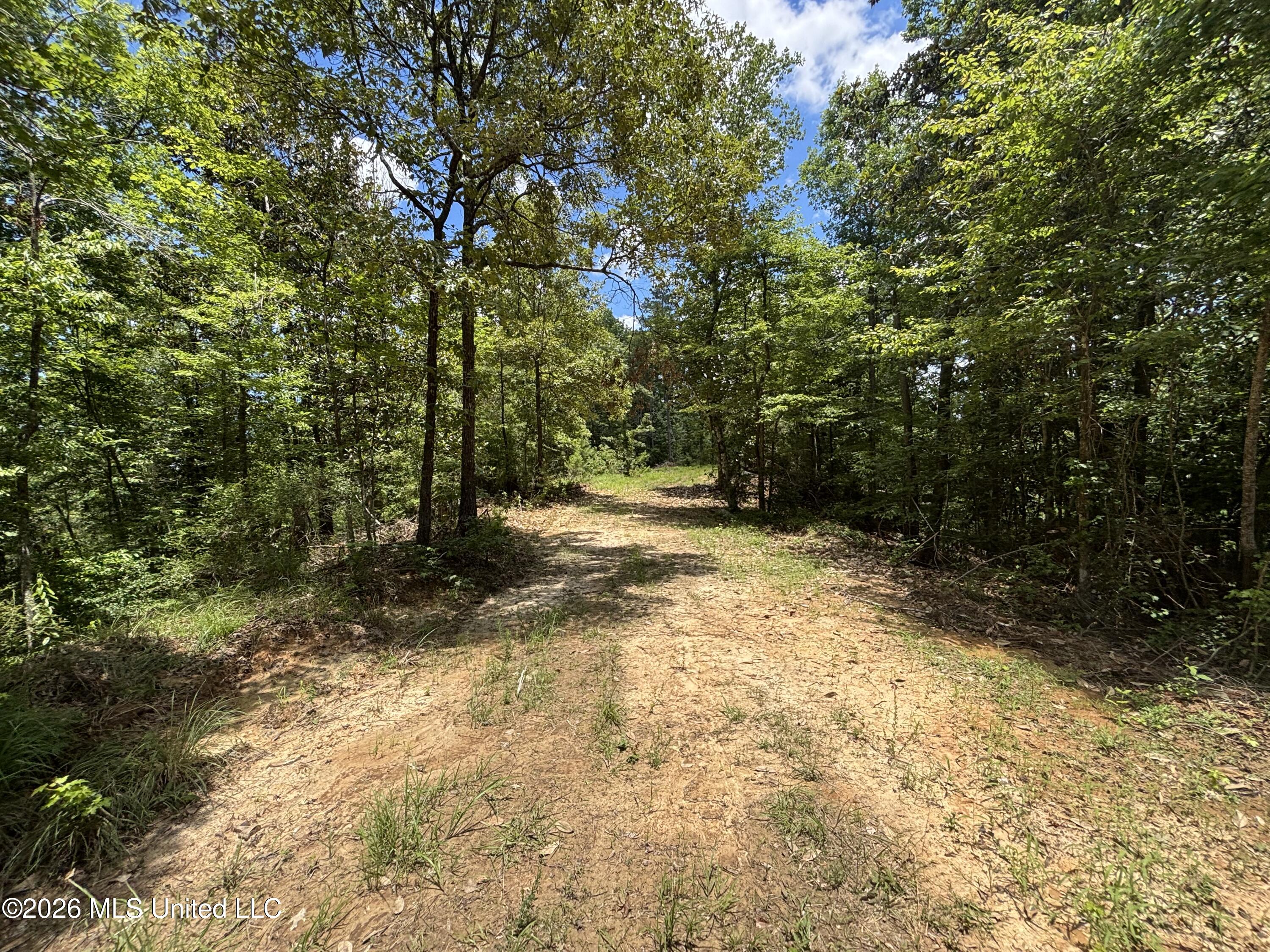 Stump Road Crosby, MS 39633 - Photo 35 of 60 IMG_4378