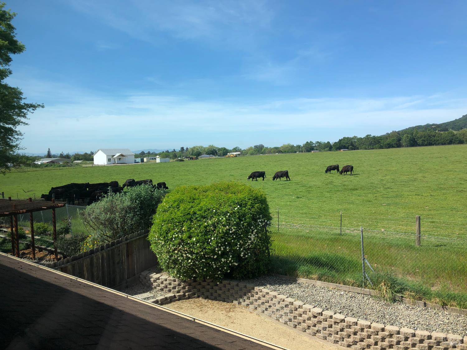 1508 Gladstone Way Rohnert Park, CA 94928 - Photo 16 of 53