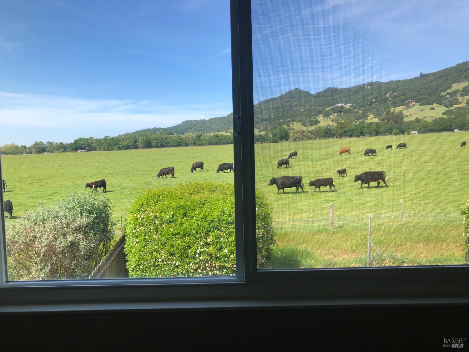 1508 Gladstone Way Rohnert Park, CA 94928 - Photo 17 of 53