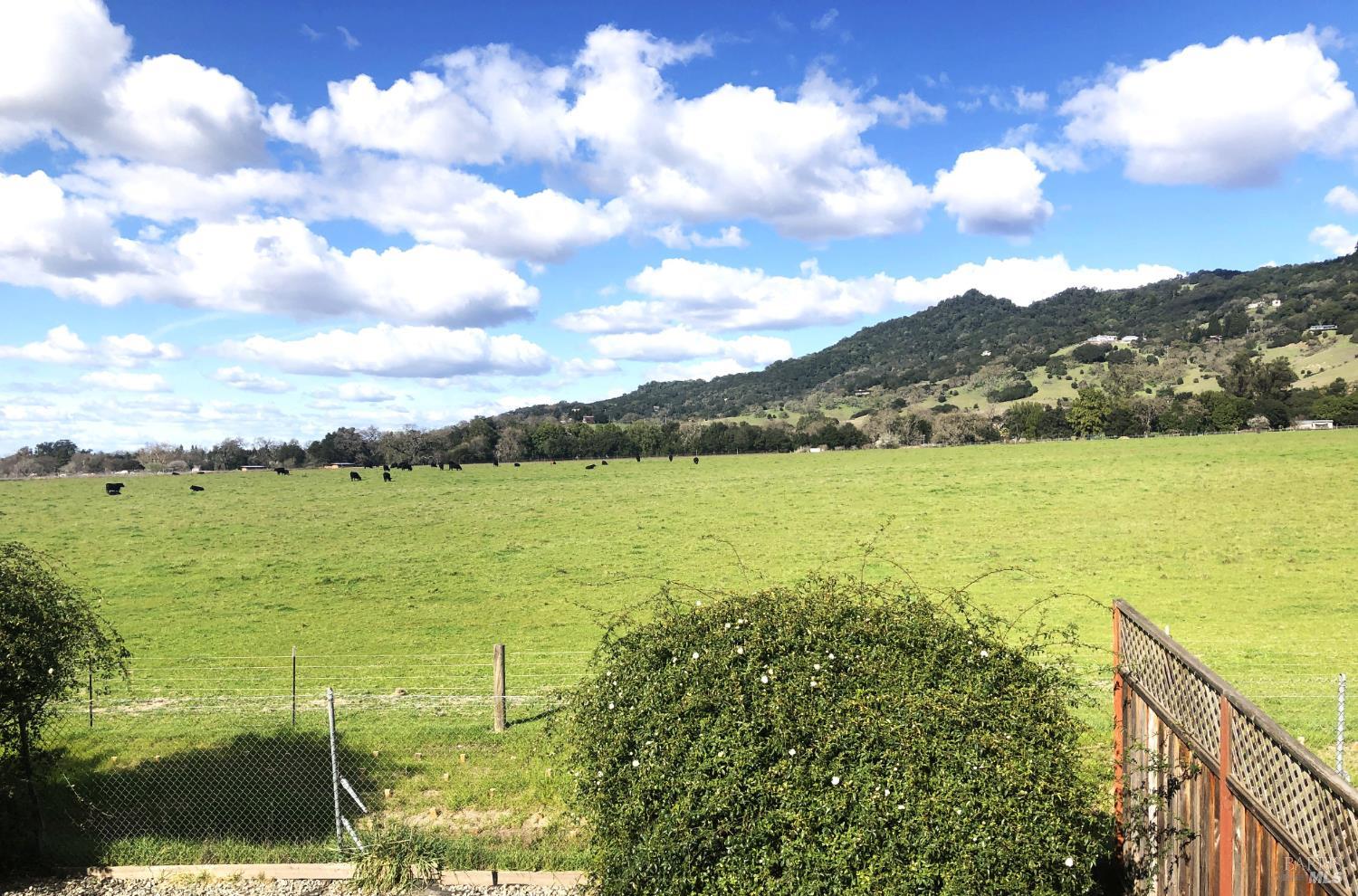 1508 Gladstone Way Rohnert Park, CA 94928 - Photo 44 of 53 View from an upstairs bedroom.