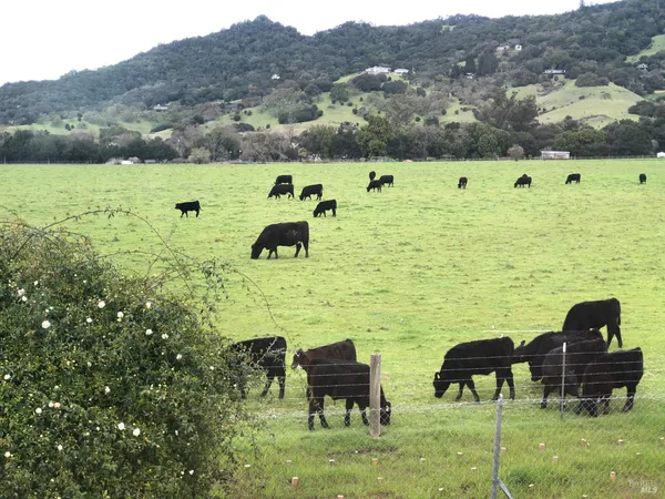 $735,000 | 1508 Gladstone Way, Rohnert Park, CA 94928