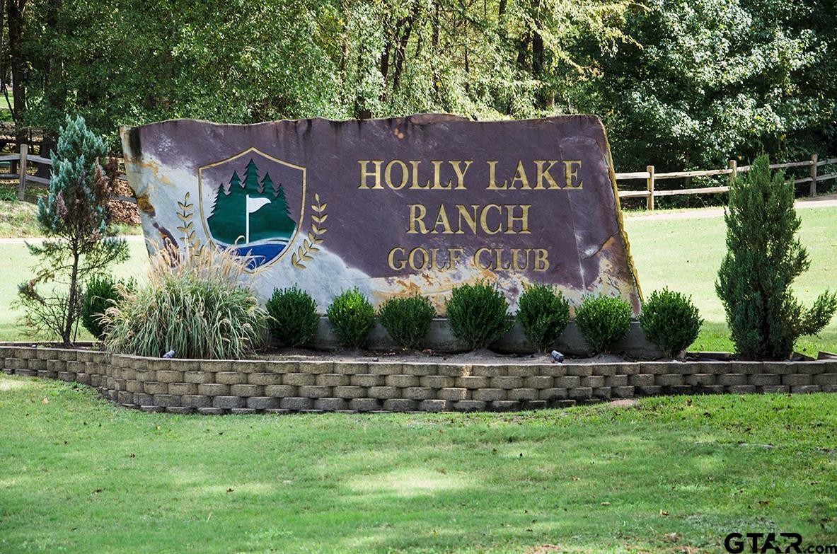 170 Wild Goose Lane Holly Lake Ranch, TX 75765 - Photo 32 of 38