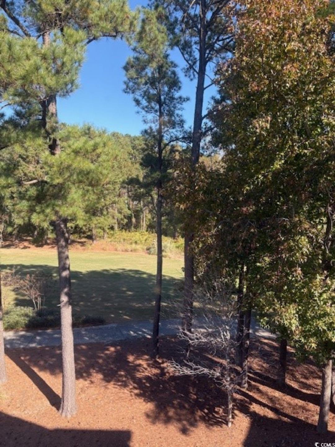 5650 Barefoot Resort Bridge Road, Unit 232 North Myrtle Beach, SC 29582 - Photo 29 of 38