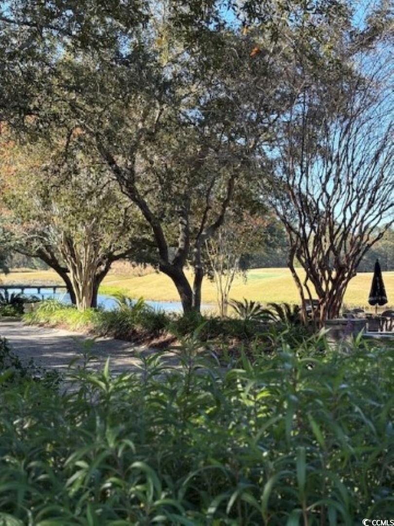 5650 Barefoot Resort Bridge Road, Unit 232 North Myrtle Beach, SC 29582 - Photo 38 of 38