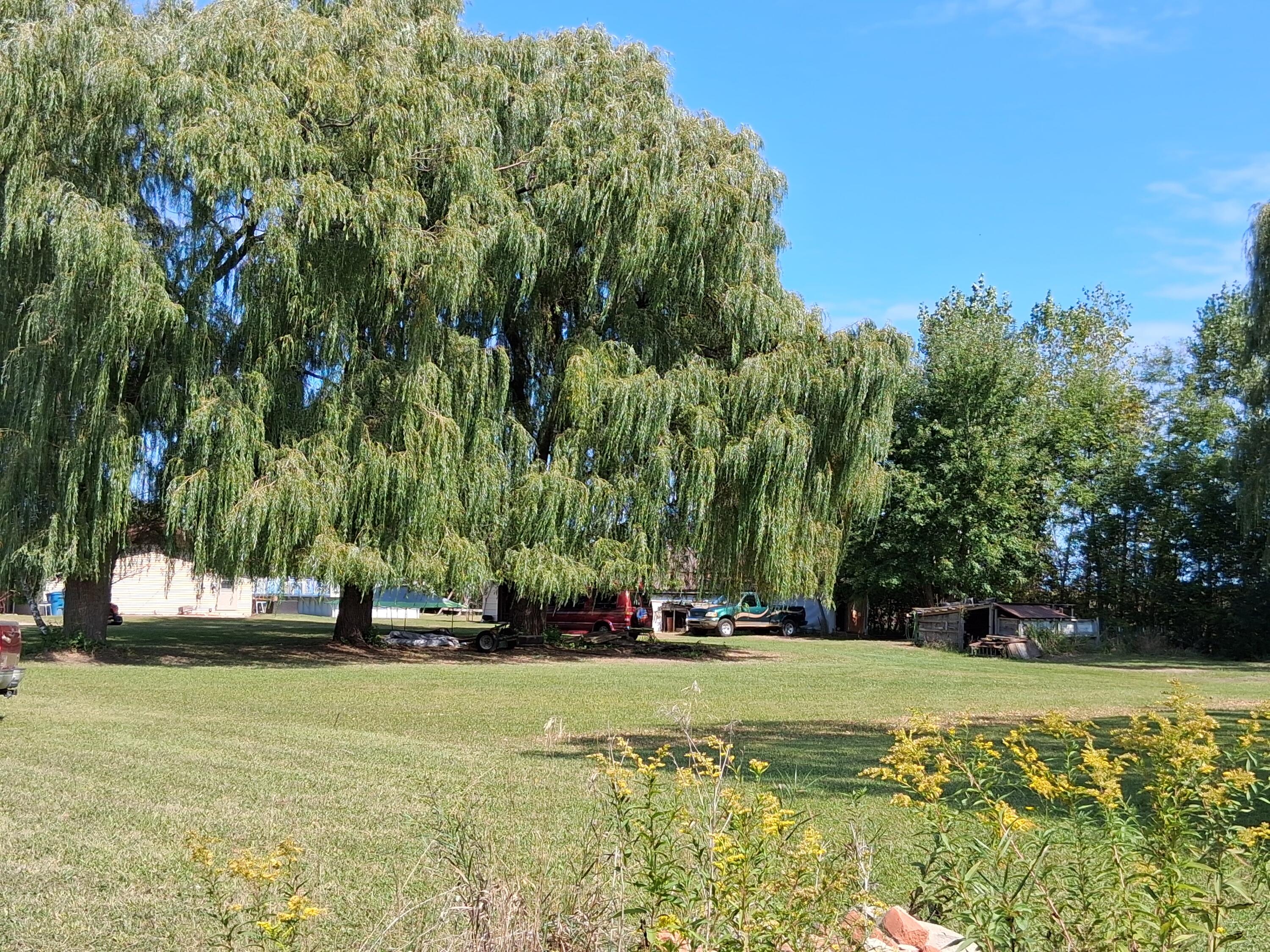 2854 Oberlin Road Gladwin, MI 48624 - Photo 21 of 28 1000001443