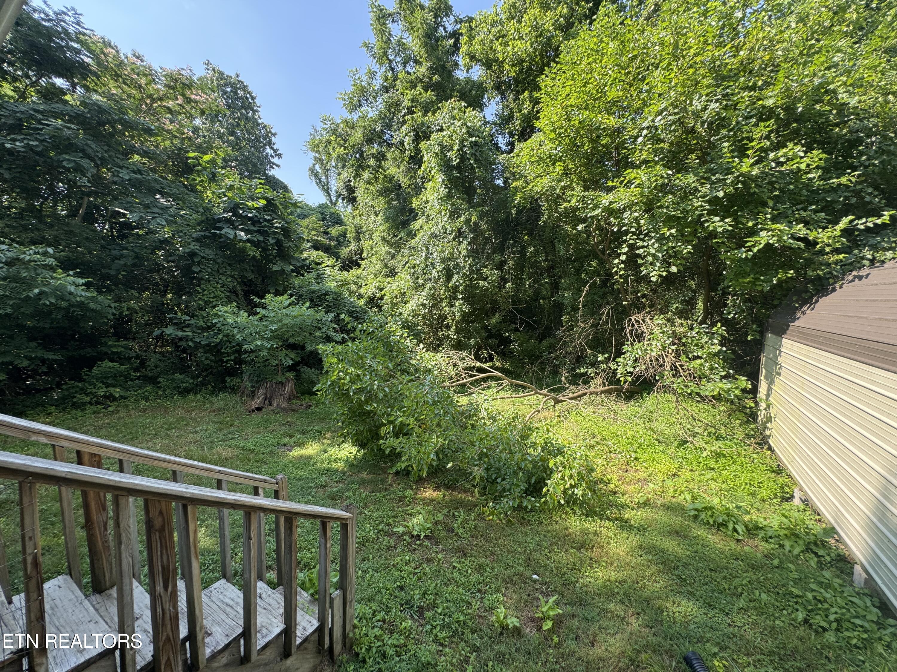 914 South 13th Street La Follette, TN 37766 - Photo 21 of 22 IMG_2967