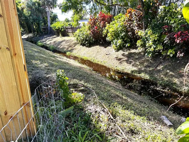 a view of a garden with plants