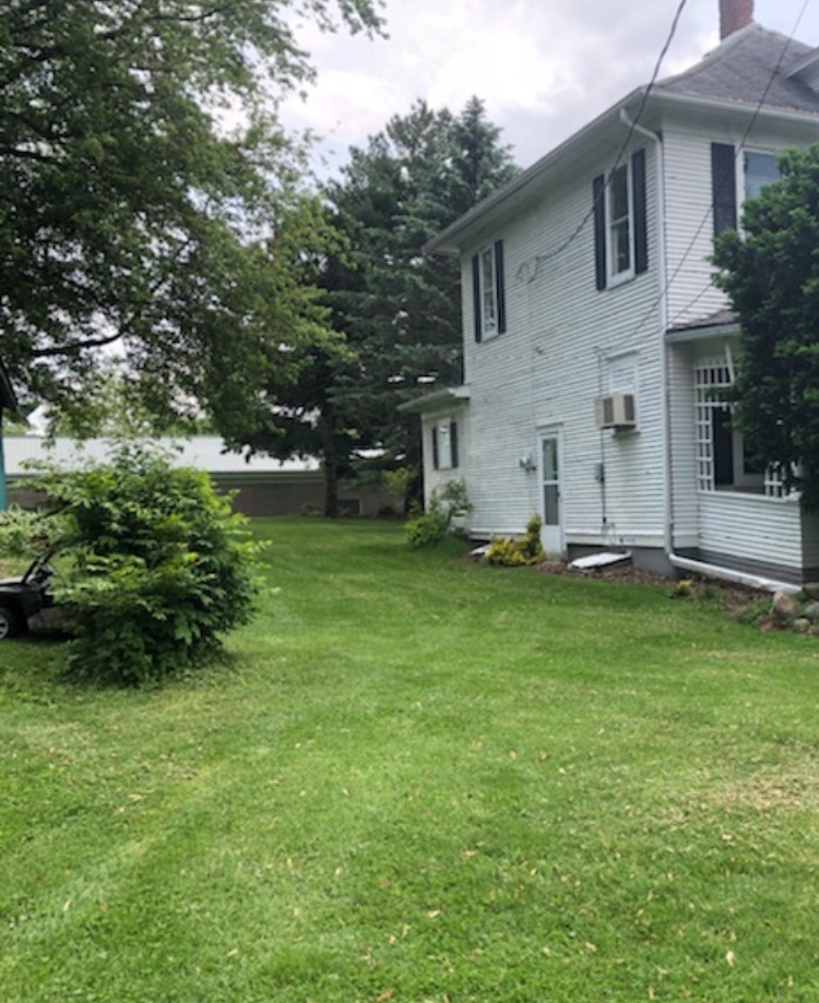 301 Ridge Street Mount Carroll, IL 61053 - Photo 2 of 4 a view of a backyard with plants and a large tree