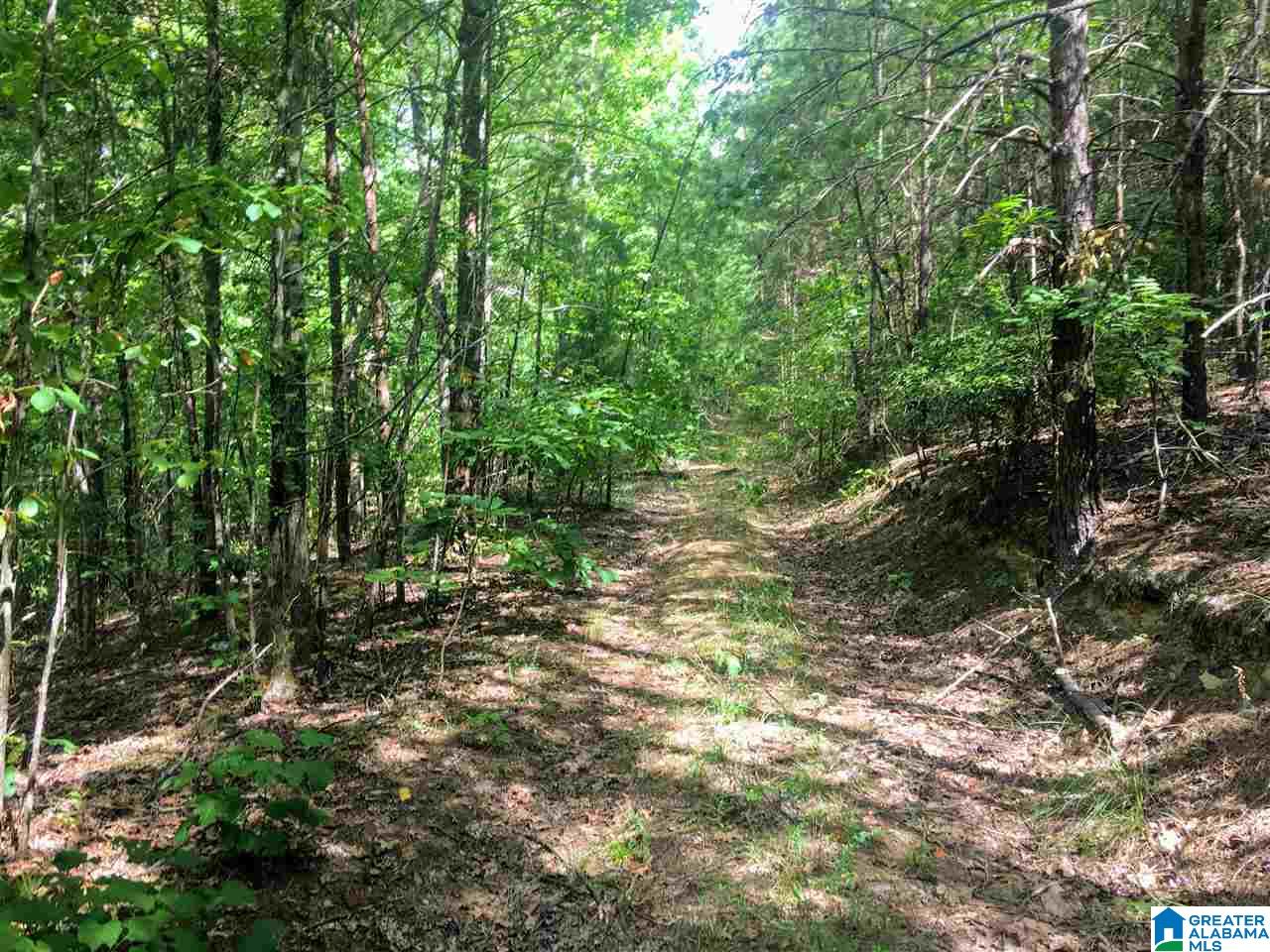 2565 Kentuck Road, Unit 4569 Oxford, AL 36203 - Photo 27 of 46