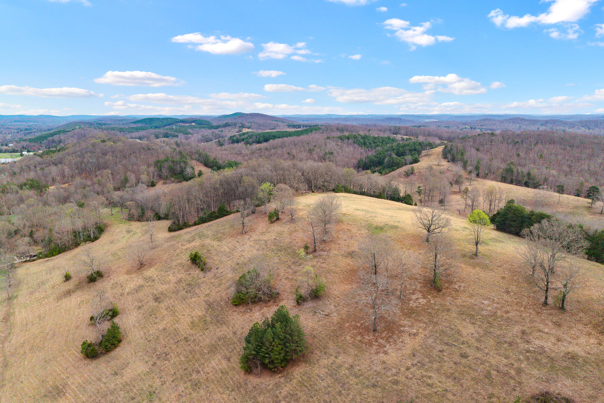 Lot 8 North Nopone Valley Road, Unit 8 Decatur, TN 37322 - Photo 8 of 17 Land on Nopone-5