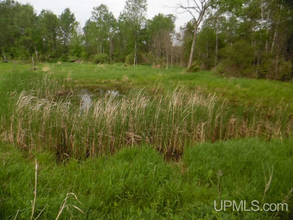 11789 T Road Rapid River, MI 49878 - Photo 34 of 35 Gallery Image 34