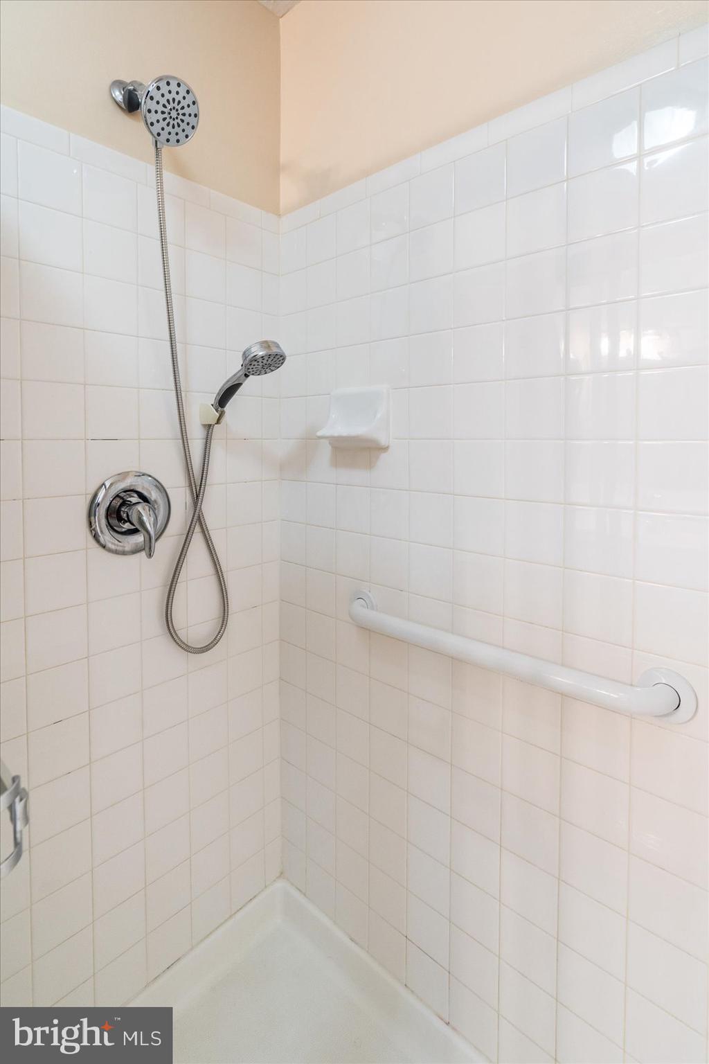 9609 Haven Farm Road, Unit M Perry Hall, MD 21128 - Photo 28 of 42 Massaging shower head