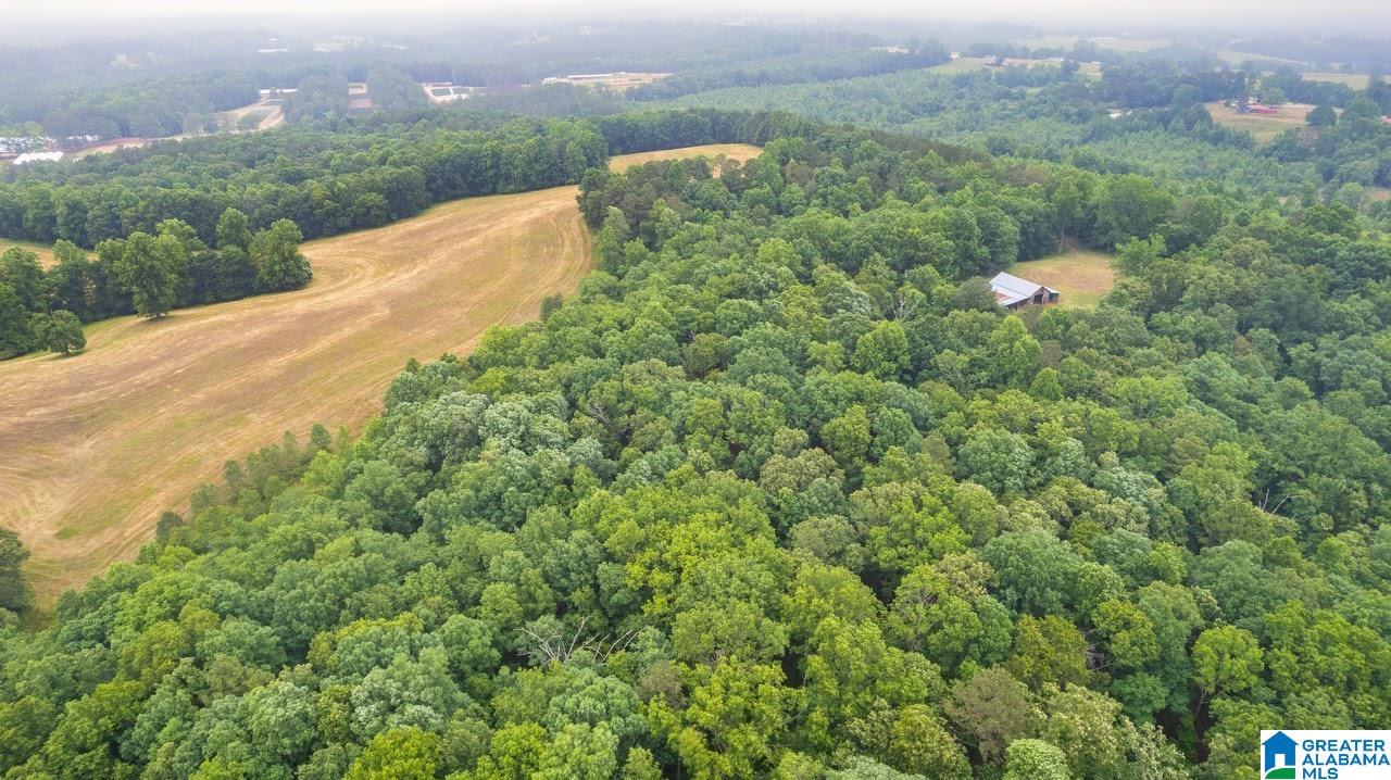 14791 County Road 10, Unit 45 ACRES Ranburne, AL 36273 - Photo 23 of 43