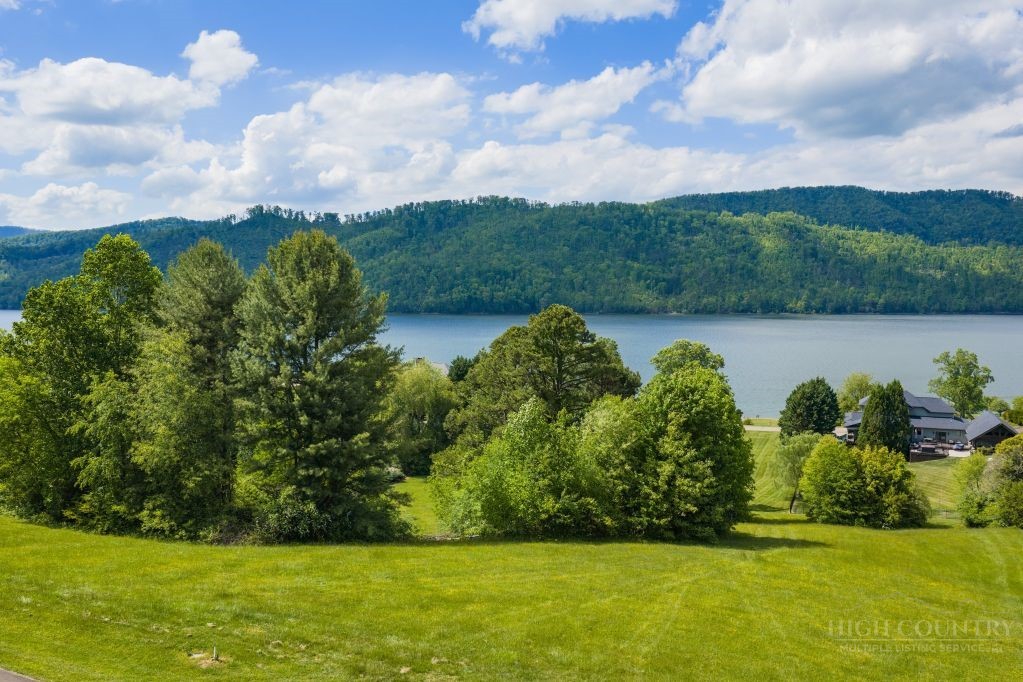 a view of a garden