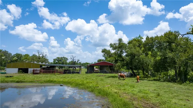 $1,200,000 | 4799 Cr 652 Other Tx 77480, Brazoria, TX 77422
