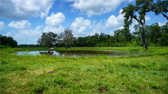 $1,200,000 | 4799 Cr 652 Other Tx 77480, Brazoria, TX 77422