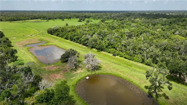 $1,200,000 | 4799 Cr 652 Other Tx 77480, Brazoria, TX 77422