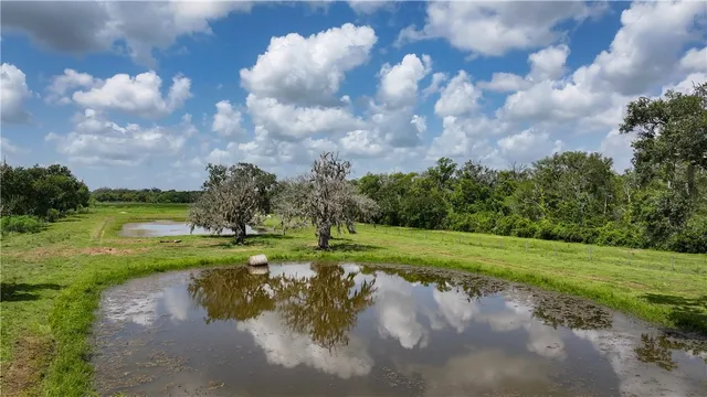 $1,200,000 | 4799 Cr 652 Other Tx 77480, Brazoria, TX 77422