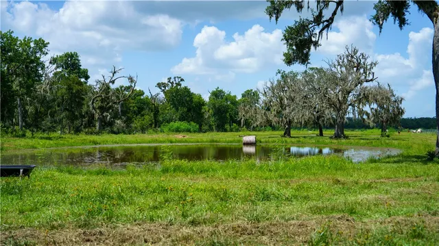 $1,200,000 | 4799 Cr 652 Other Tx 77480, Brazoria, TX 77422