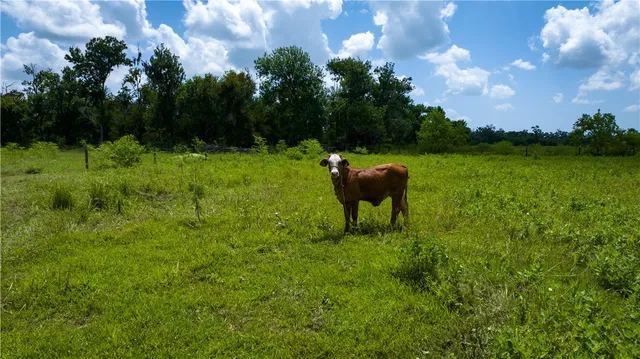 $1,200,000 | 4799 Cr 652 Other Tx 77480, Brazoria, TX 77422