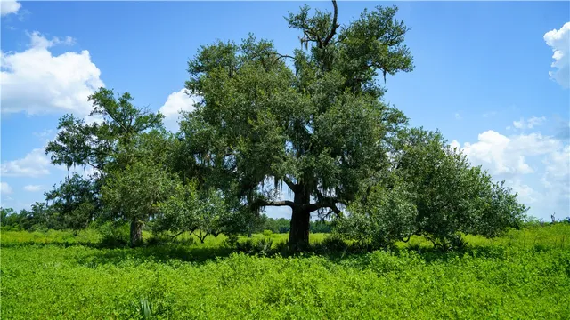 $1,200,000 | 4799 Cr 652 Other Tx 77480, Brazoria, TX 77422