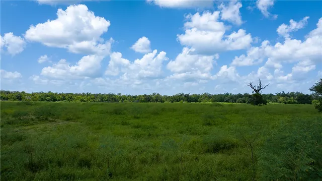 $1,200,000 | 4799 Cr 652 Other Tx 77480, Brazoria, TX 77422