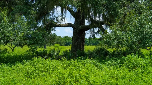 $1,200,000 | 4799 Cr 652 Other Tx 77480, Brazoria, TX 77422