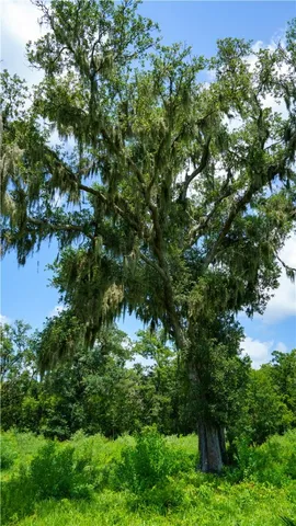 $1,200,000 | 4799 Cr 652 Other Tx 77480, Brazoria, TX 77422