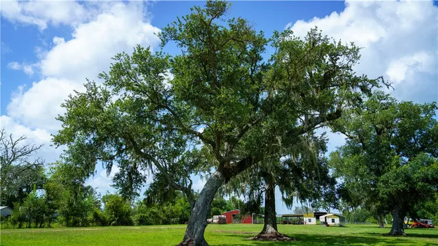 $1,200,000 | 4799 Cr 652 Other Tx 77480, Brazoria, TX 77422