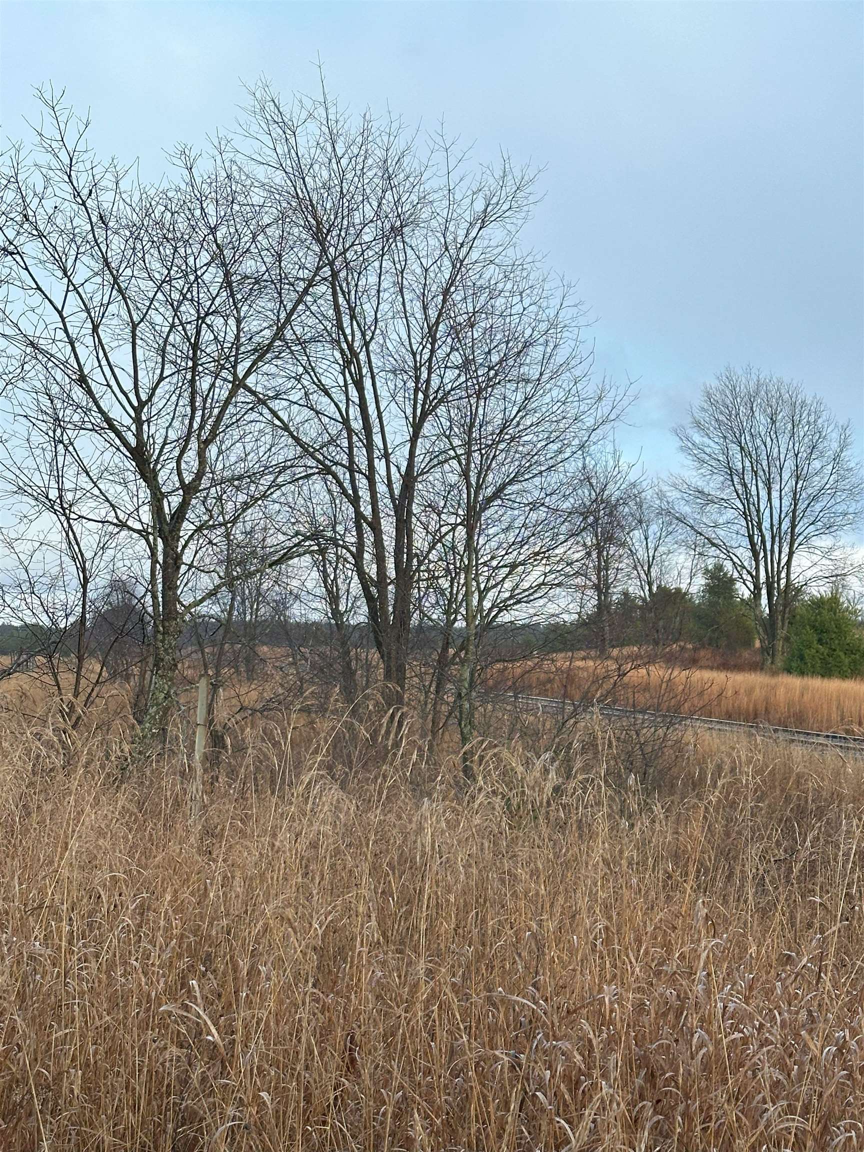 0 Northeast Day Road Mancelona, MI 49659 - Photo 9 of 10 Gallery Image 9