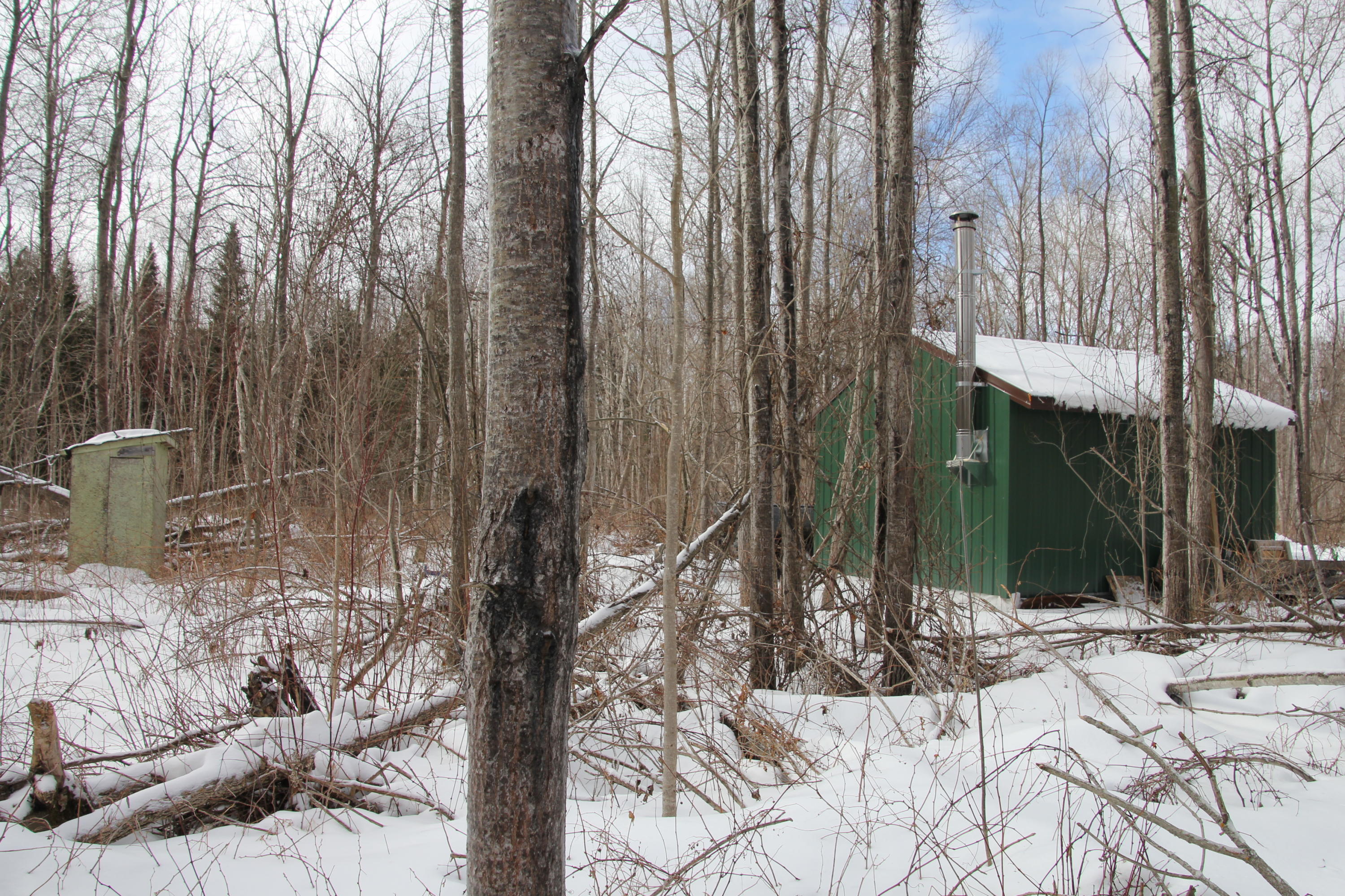 40-acres Tolan Road Spruce, MI 48762 - Photo 13 of 95 Gallery Image 13