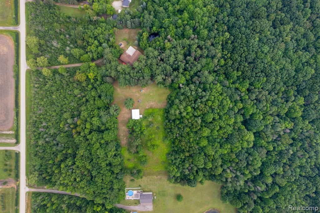 7616 Cribbins Road Jeddo, MI 48032 - Photo 6 of 55