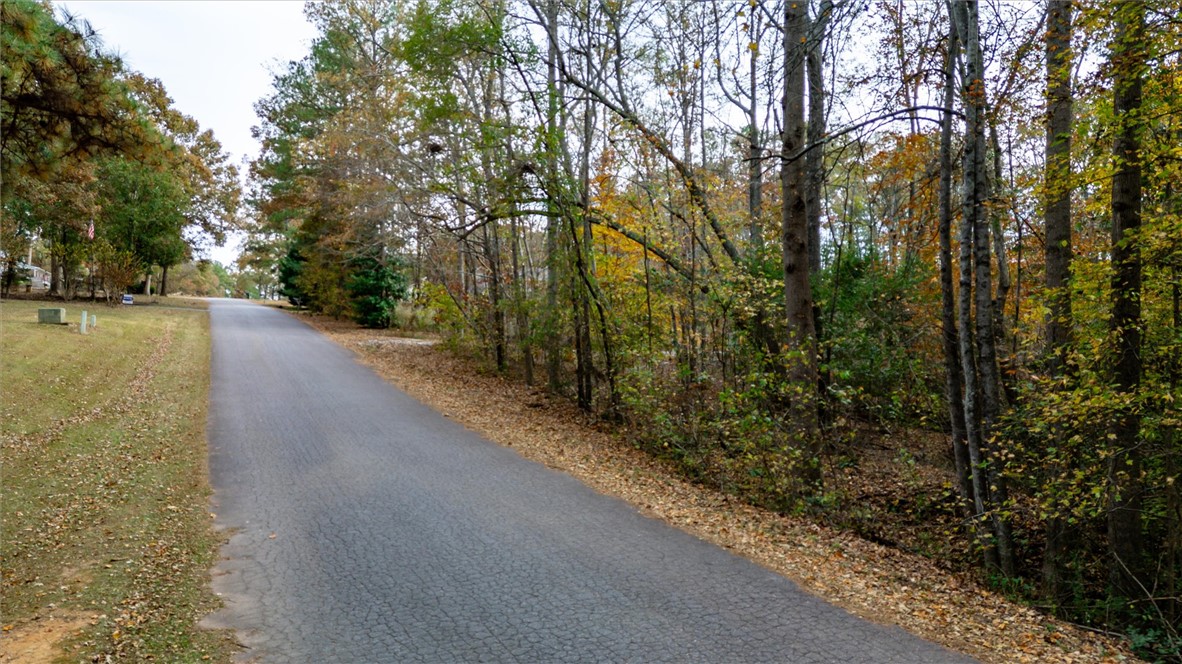1020 Green Willow Trail Anderson, SC 29621 - Photo 3 of 11