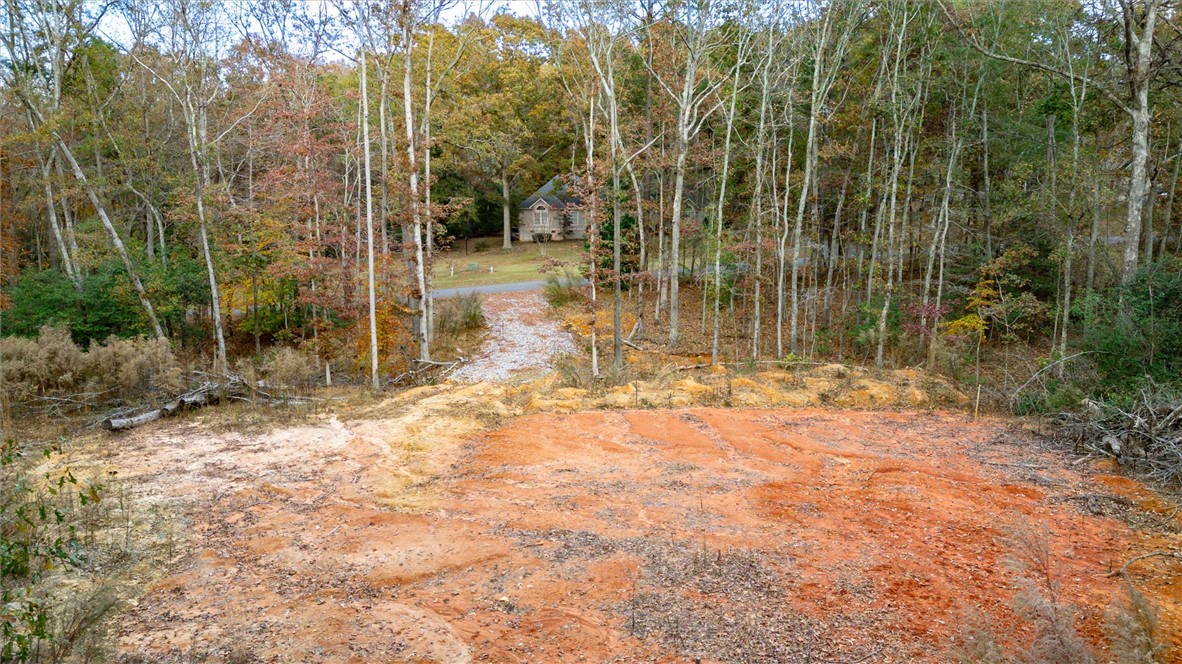 1020 Green Willow Trail Anderson, SC 29621 - Photo 6 of 11