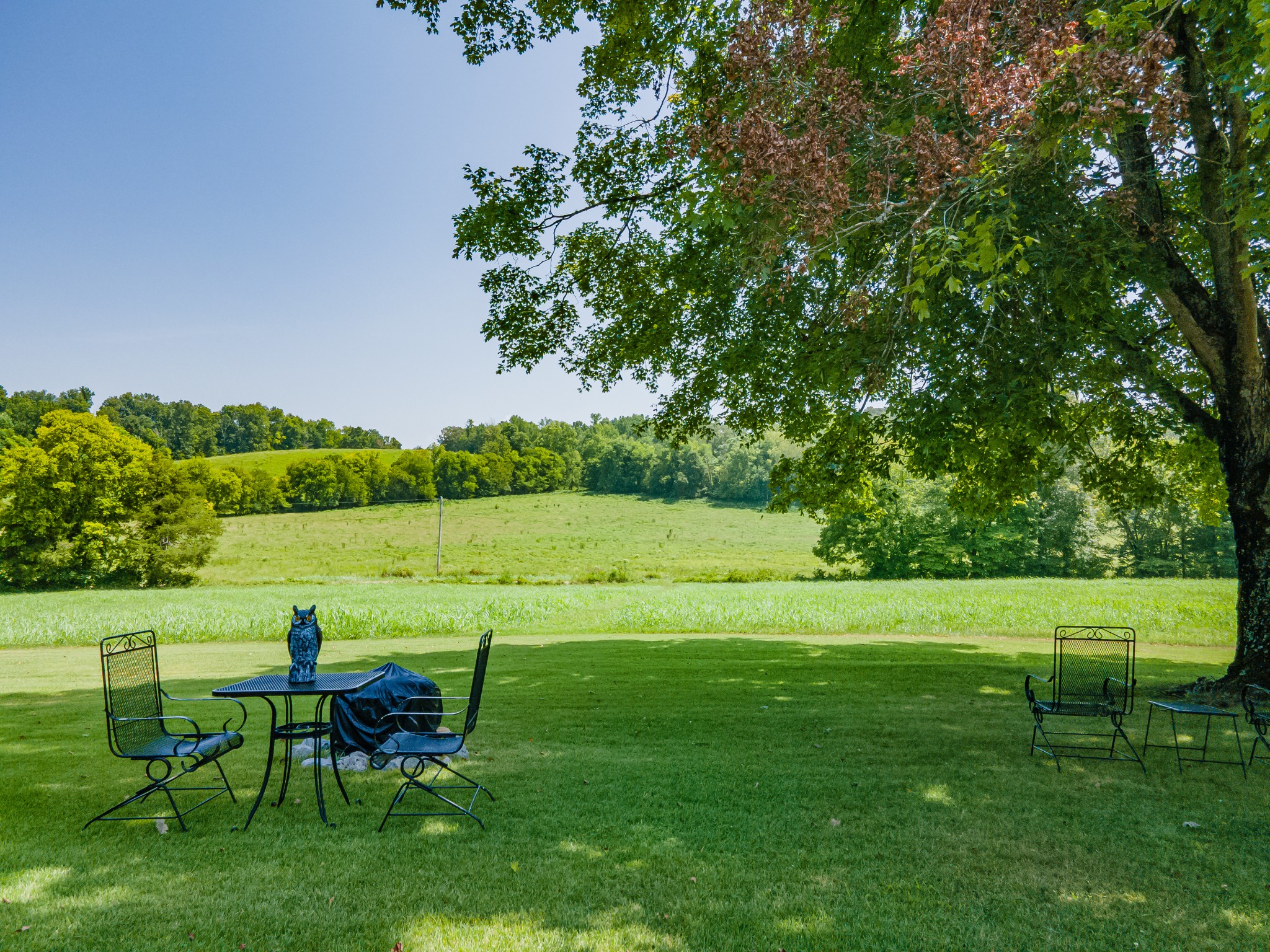 7020 Morgan Creek Road Centerville, TN 37033 - Photo 87 of 99 Gallery Image 87