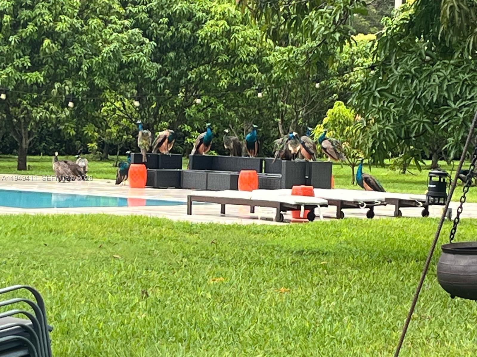 27950 Southwest 182nd Avenue Homestead, FL 33031 - Photo 15 of 24