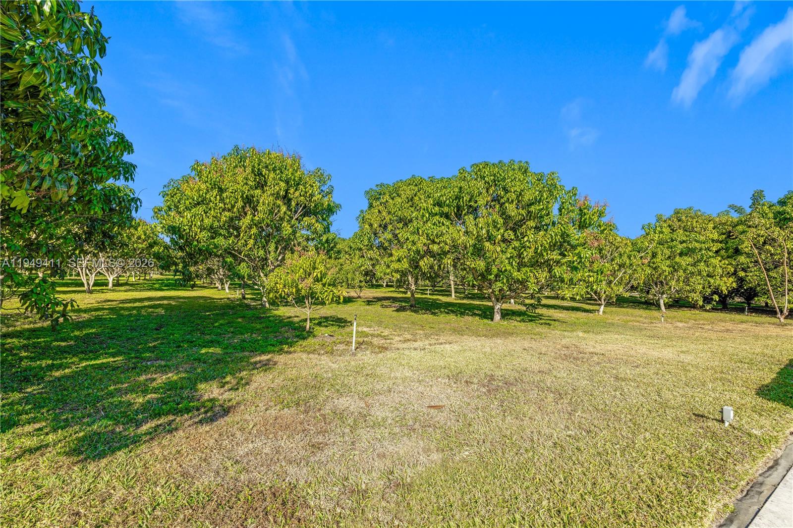 27950 Southwest 182nd Avenue Homestead, FL 33031 - Photo 39 of 49 a view of a yard