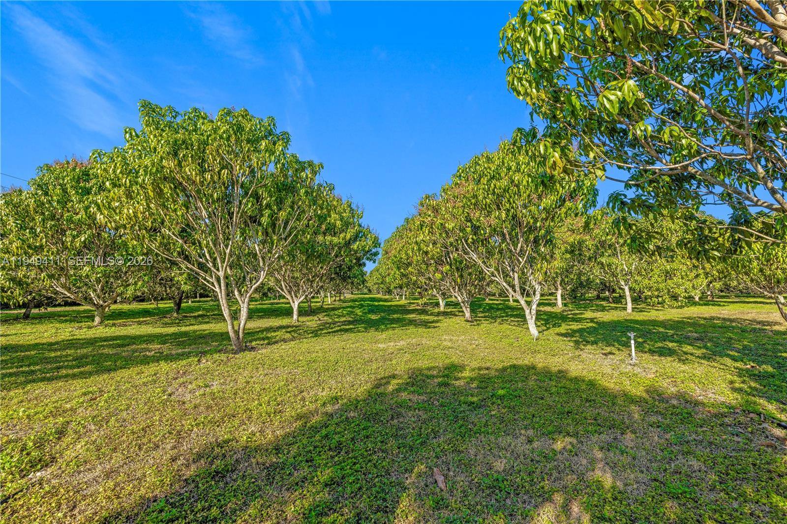 27950 Southwest 182nd Avenue Homestead, FL 33031 - Photo 40 of 49 a view of a park
