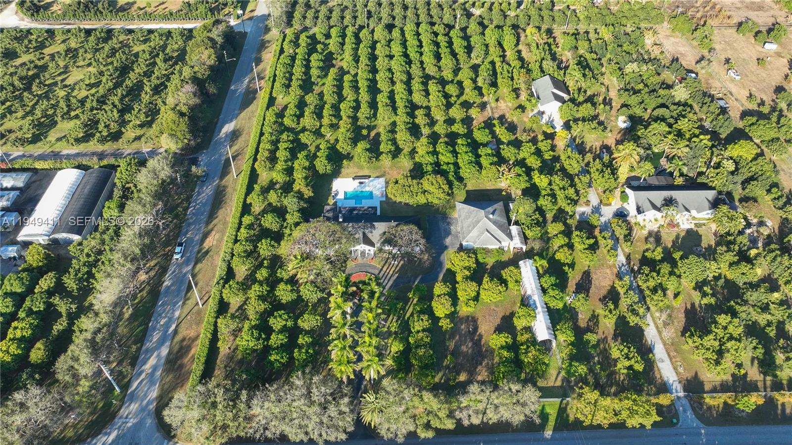 27950 Southwest 182nd Avenue Homestead, FL 33031 - Photo 43 of 49 a close up of a plant in a garden