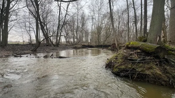 $625,000 | 4705 Whig Highway, Adrian, MI 49221