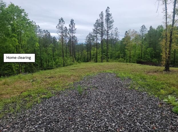 918 Athens Road Calhoun, TN 37309 - Photo 5 of 14