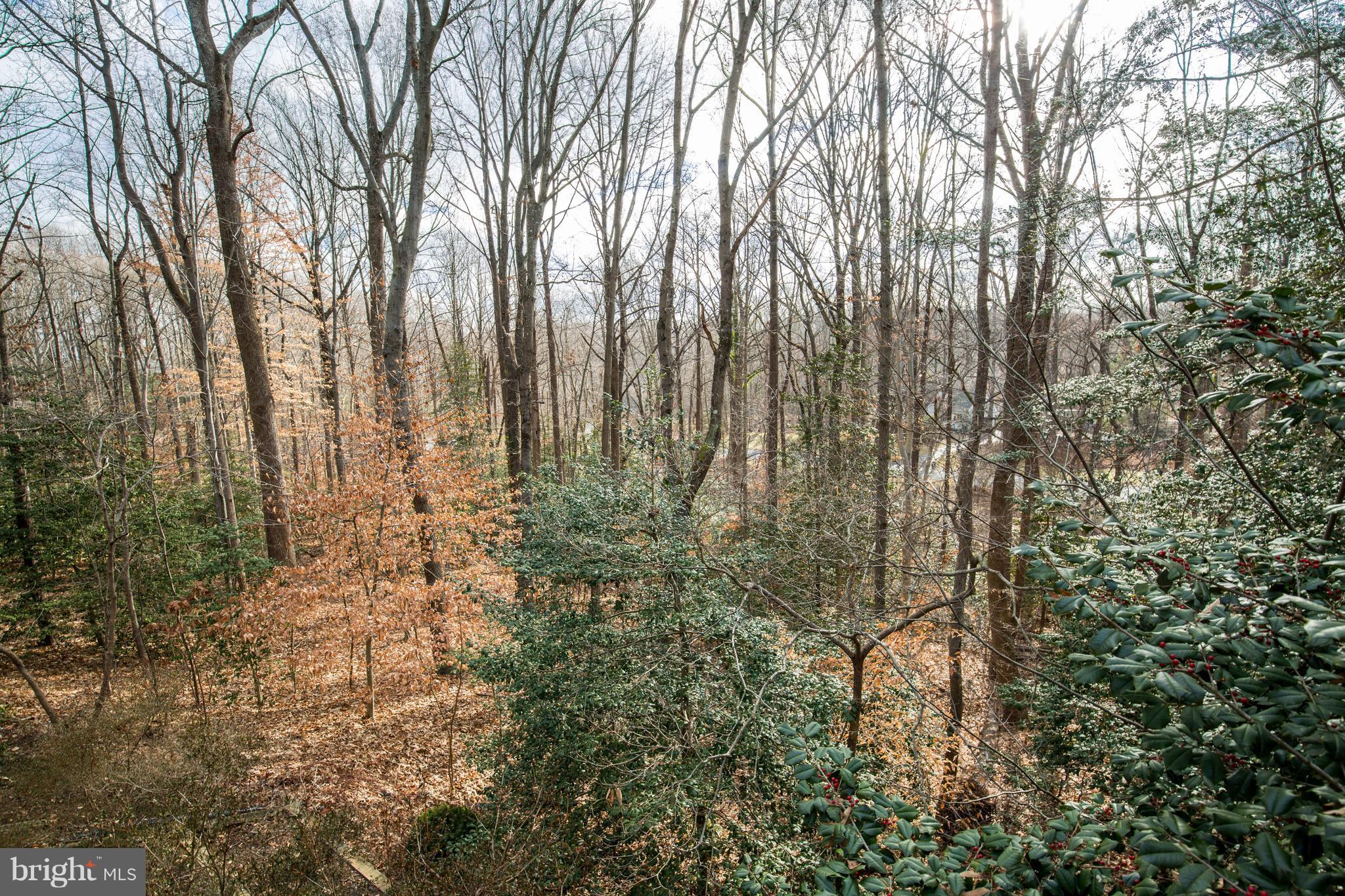 1942 High Ridge Road Annapolis, MD 21409 - Photo 29 of 30 Exterior (Rear)