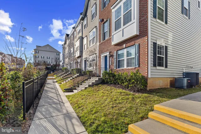 a view of a yard with plants