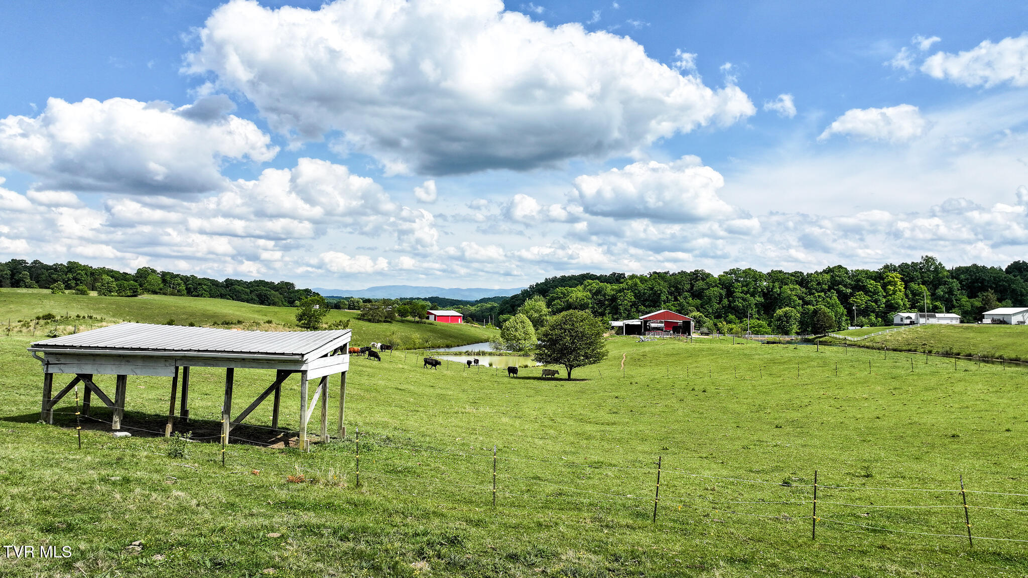 2430 Brown Springs Road Greeneville, TN 37743 - Photo 11 of 84 DJI_20260508032849_0587_D (1)