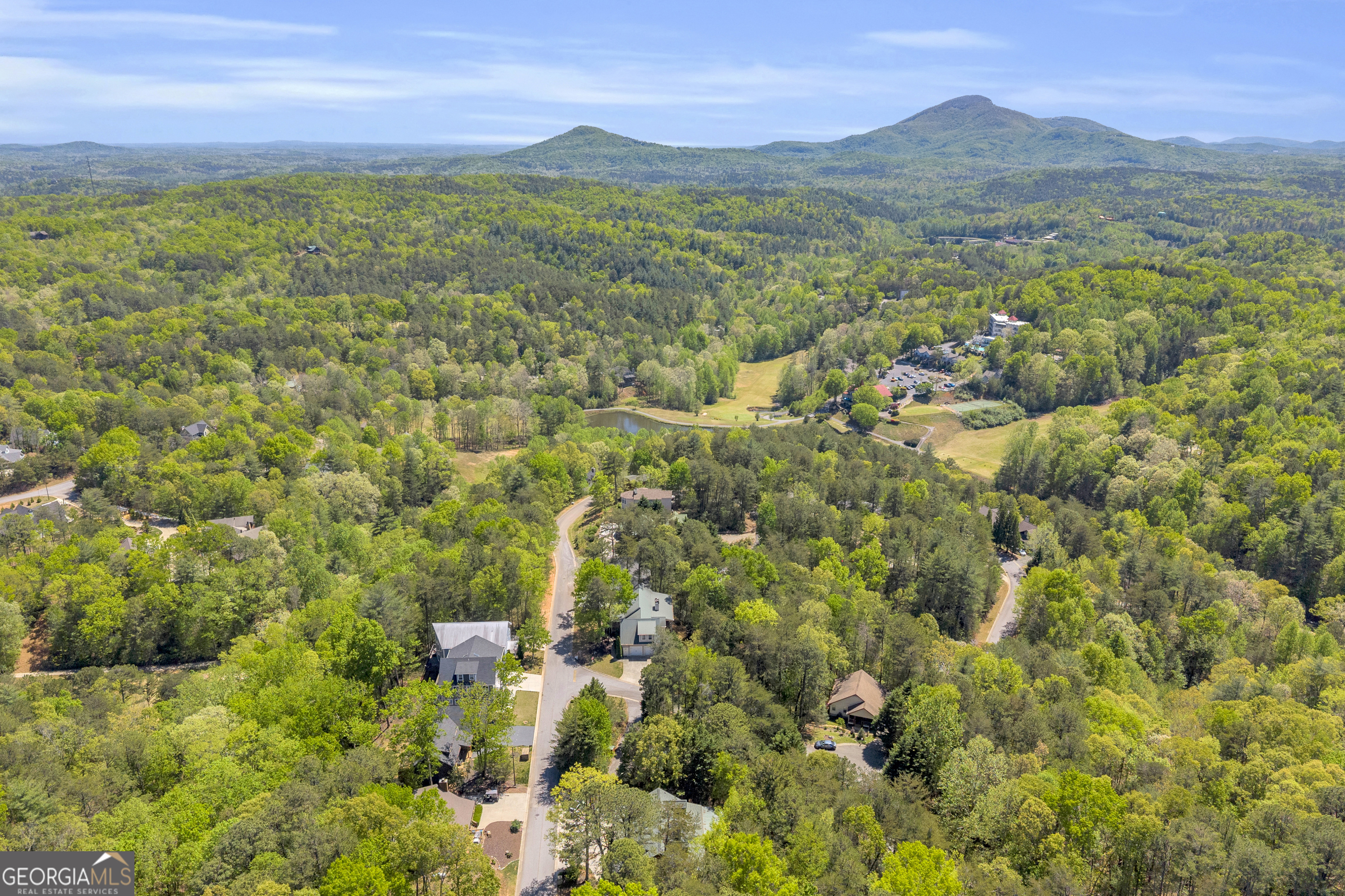 333 Rosen Strasse Helen, GA 30545 - Photo 60 of 70