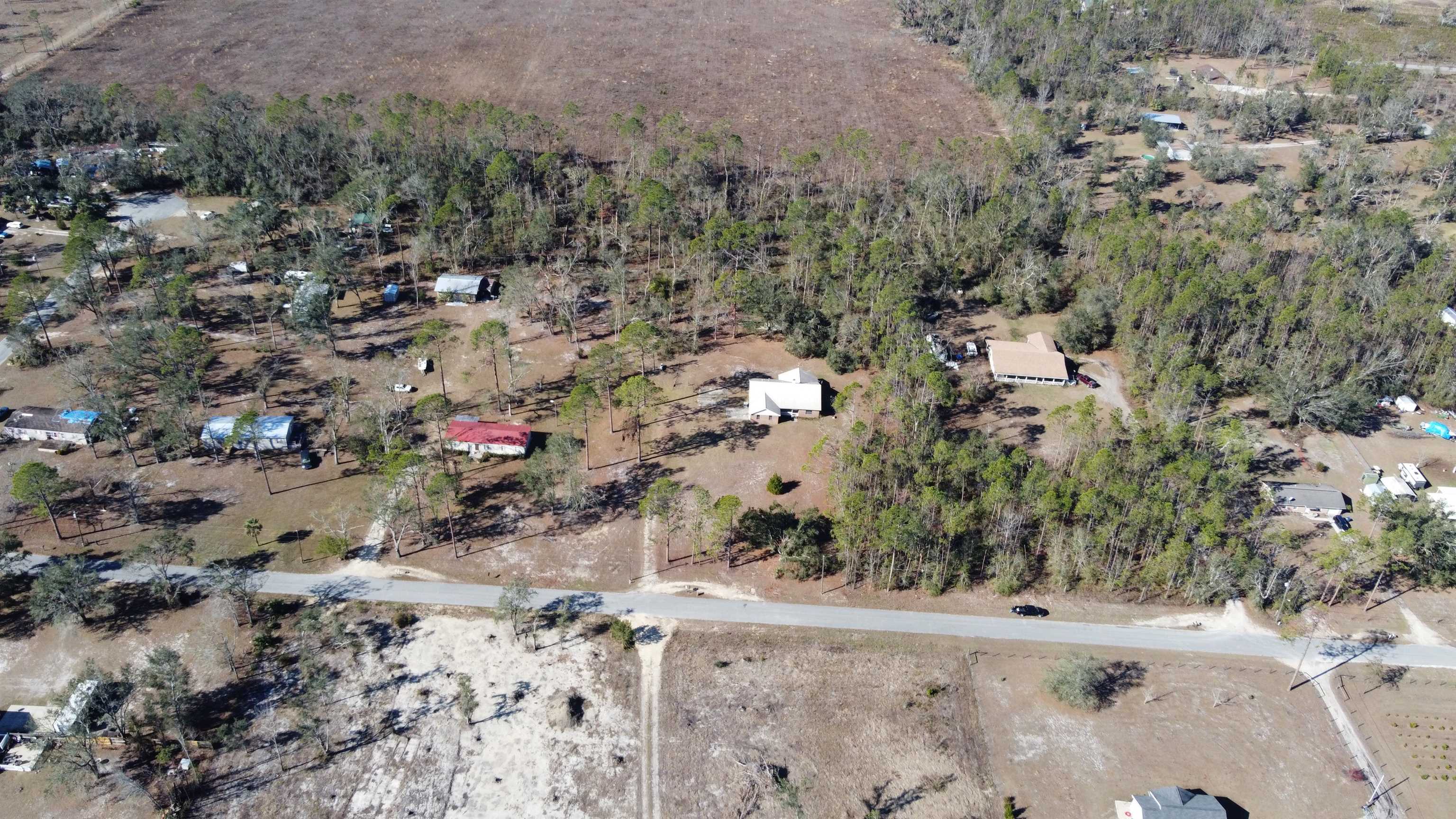 1775 Pine Bluff Road Perry, FL 32348 - Photo 11 of 42