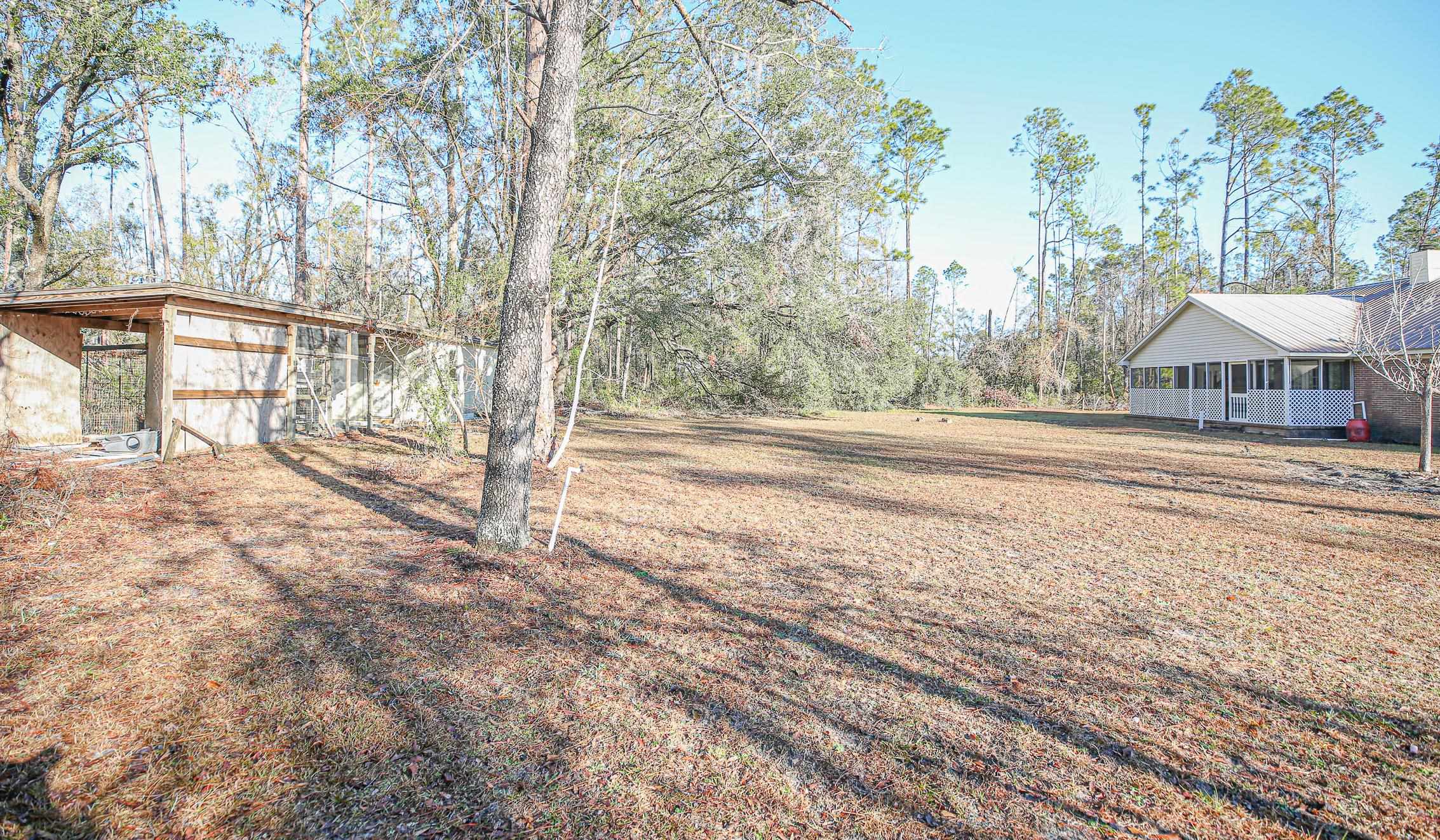 1775 Pine Bluff Road Perry, FL 32348 - Photo 4 of 42