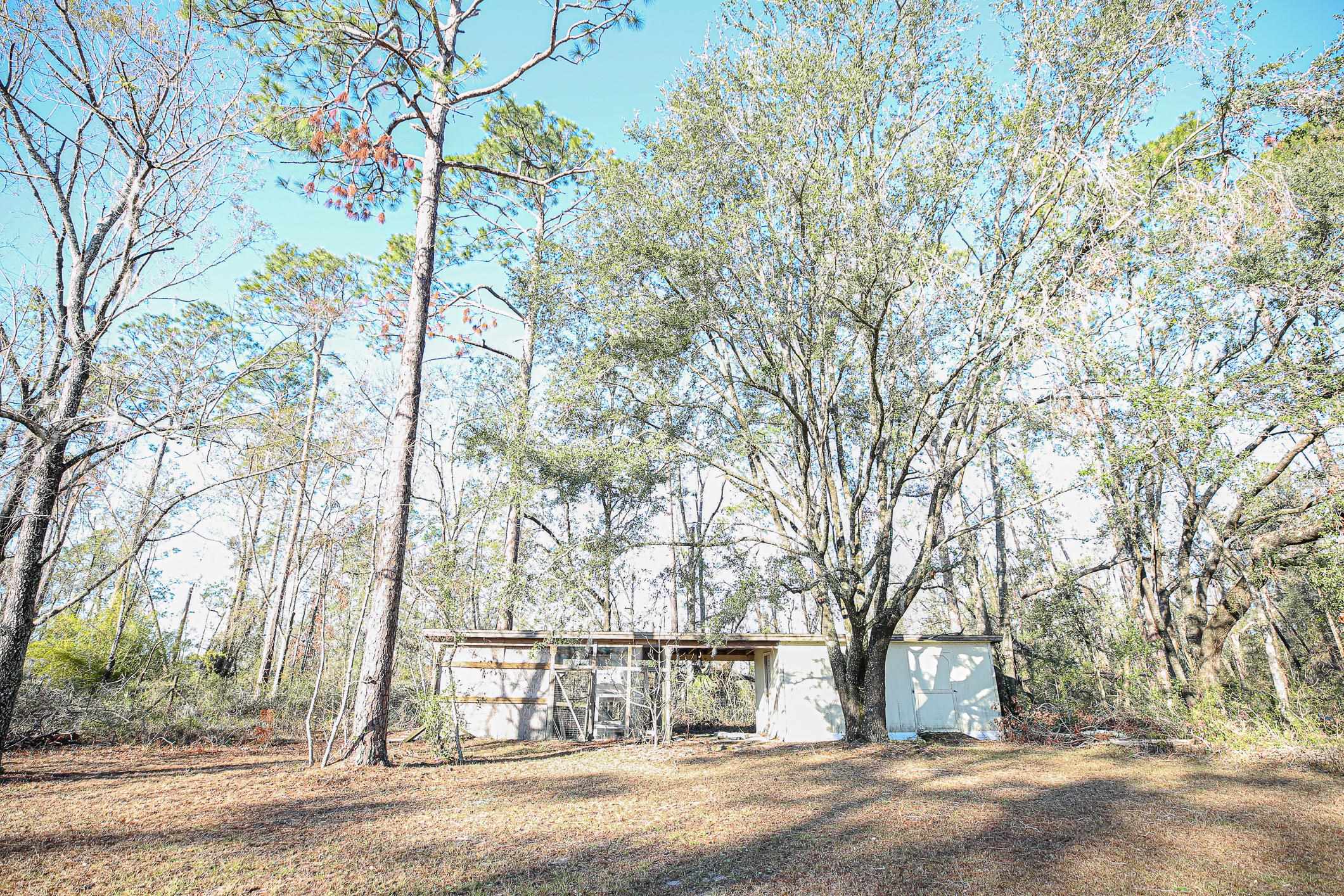 1775 Pine Bluff Road Perry, FL 32348 - Photo 5 of 42