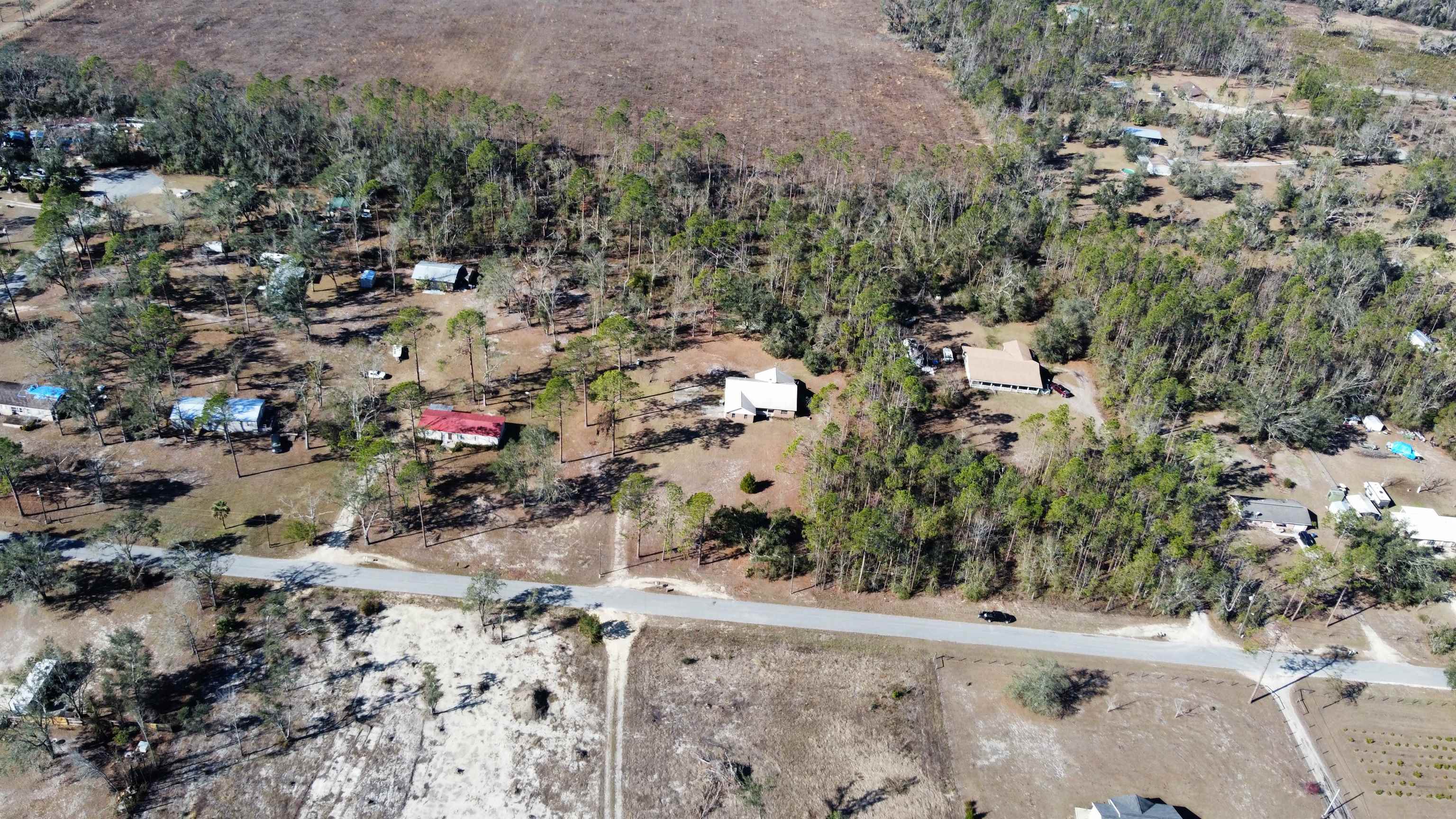 1775 Pine Bluff Road Perry, FL 32348 - Photo 10 of 42